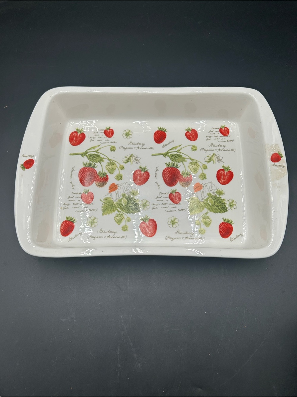 Kent Pottery White Strawberry Ceramic Baking Dish
